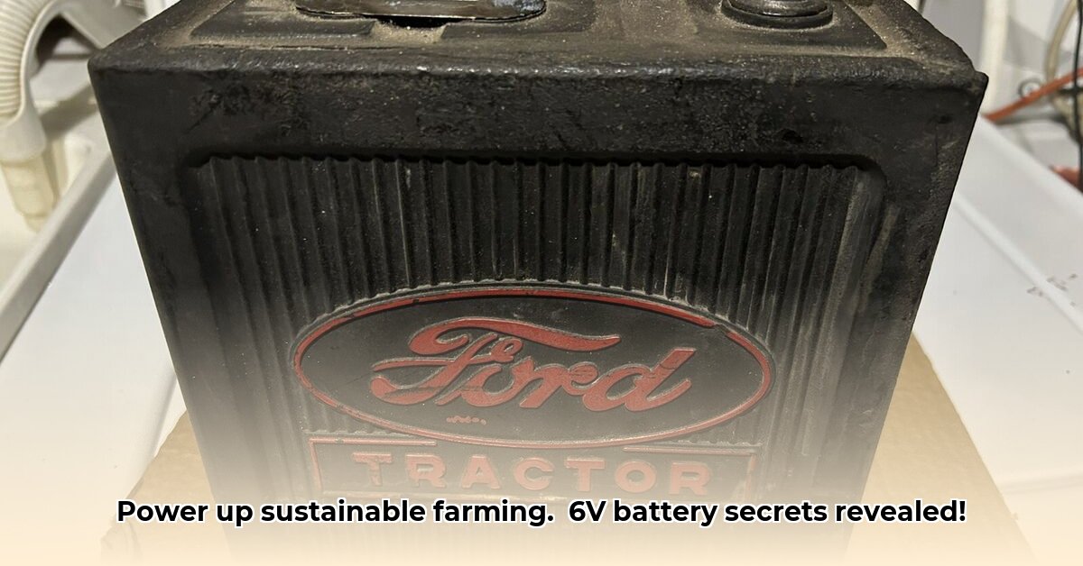 tractor-supply-6-volt-battery